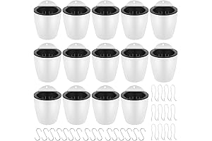 Self Watering Wall Mounted Planters