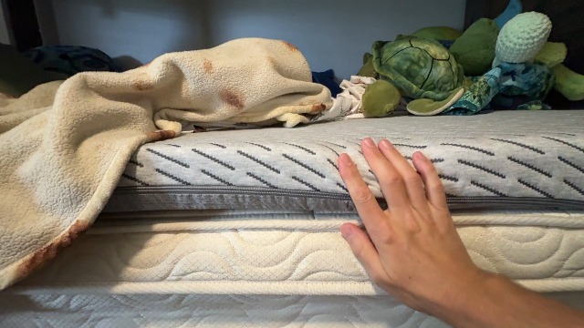 BEST Mattress Toppers? | Bamboo Thick Cooling Mattress Topper