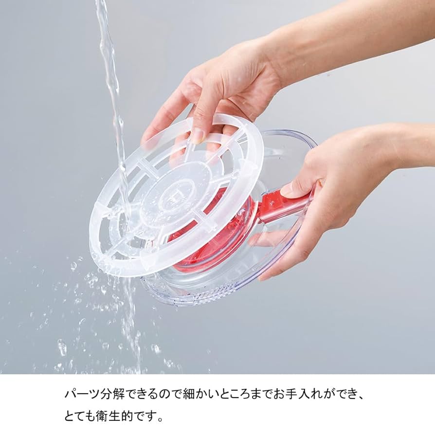 水菜さま　　専用 Amazon | カネコ種苗 園芸・種 KS100シリーズ サラダみずな 早生