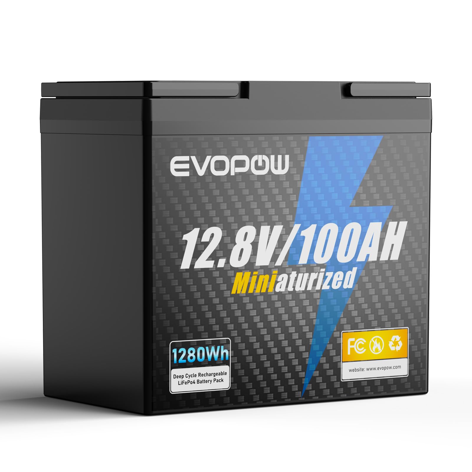 Amazon.com: 12V 100Ah Mini LiFePO4 Lithium Battery, Built-in 100A 