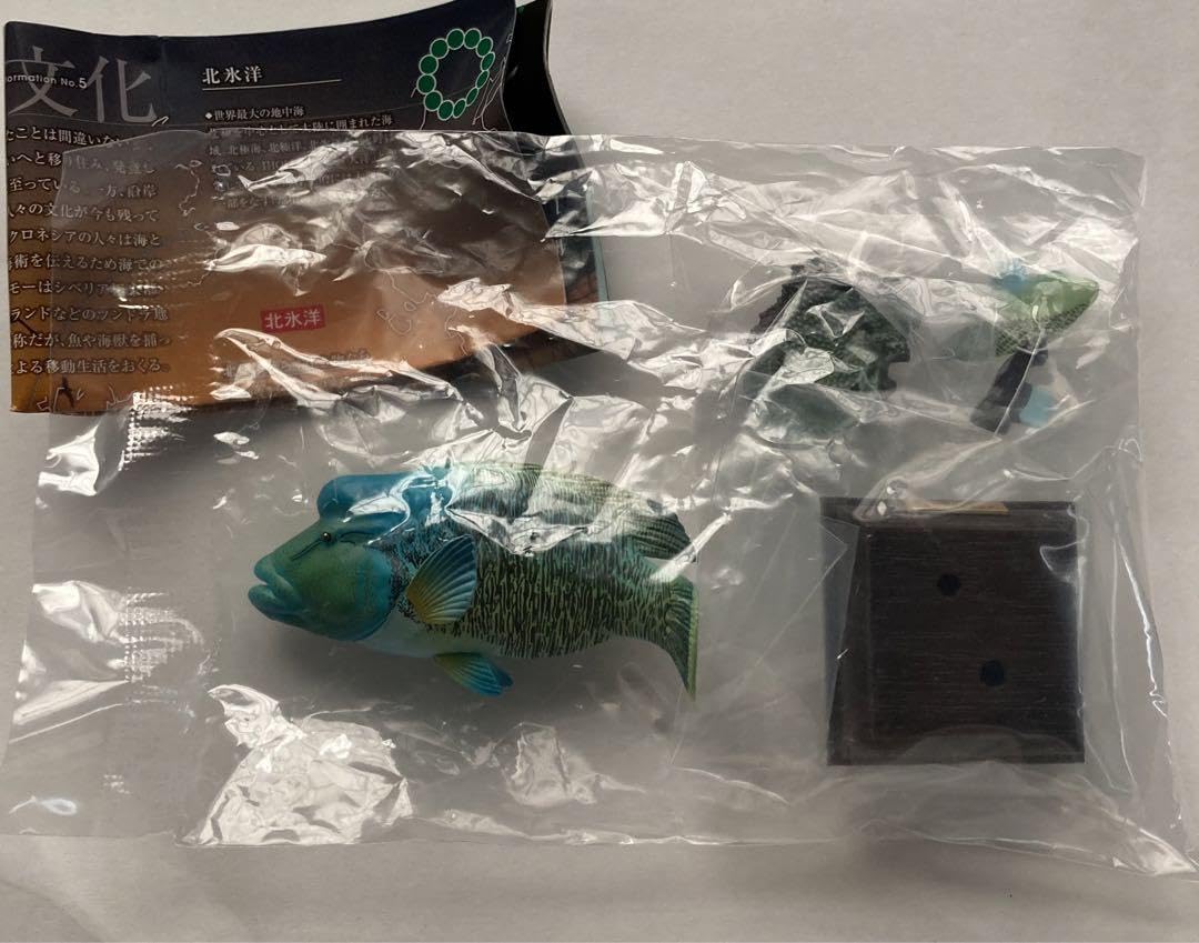 Amazon.co.jp: ネイチャーテクニカラー 海洋 特装版