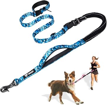 TSPRO Hands Free Shock Absorbing Bungee Dog Leash Car Seat Belt Heavy Duty | Adjustable Padded Handle Eases Pull Strain, Tough Polyester fits Small Medium Large Dogs Walking Running Training Camo Blue