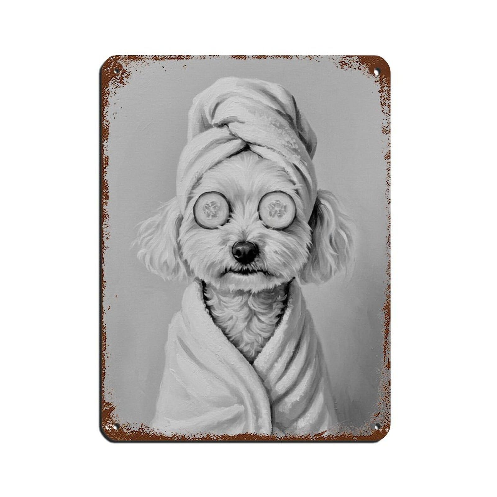 Bichon Frise Dog Bathroom Art Tin Sign Vintage Metal Pub Club Cafe Bar Home Wall Art Decoration Poster Retro 12x16inch(30x40cm)