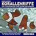 Produktbild Korallenriffe - ein Lebensraum und seine Bewohner