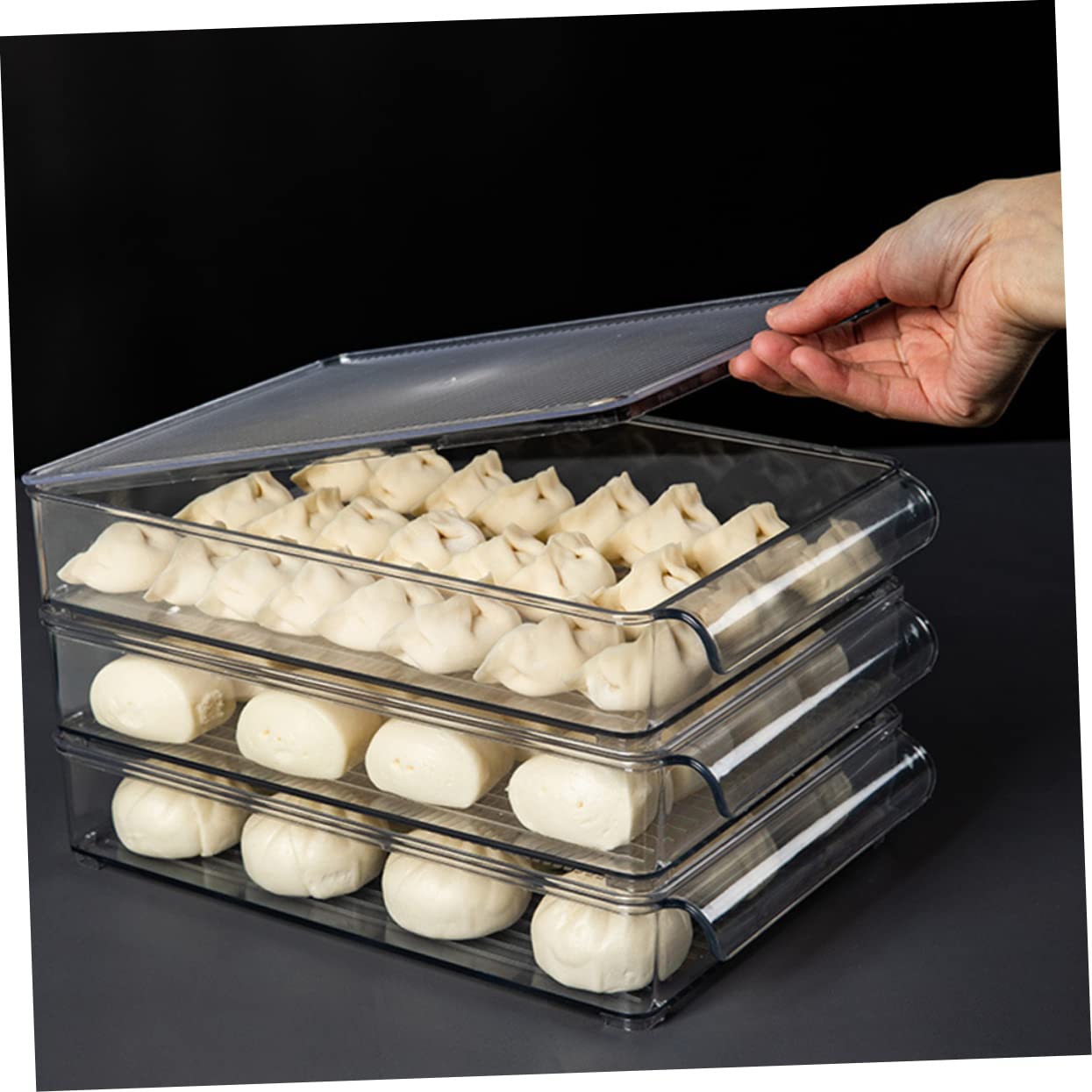 Cabilock Transparent Dumplings Container Monolayer Steamed Bun Organizer Sturdy Pet Storage Box for Refrigerator Easy and for Home Kitchen Use