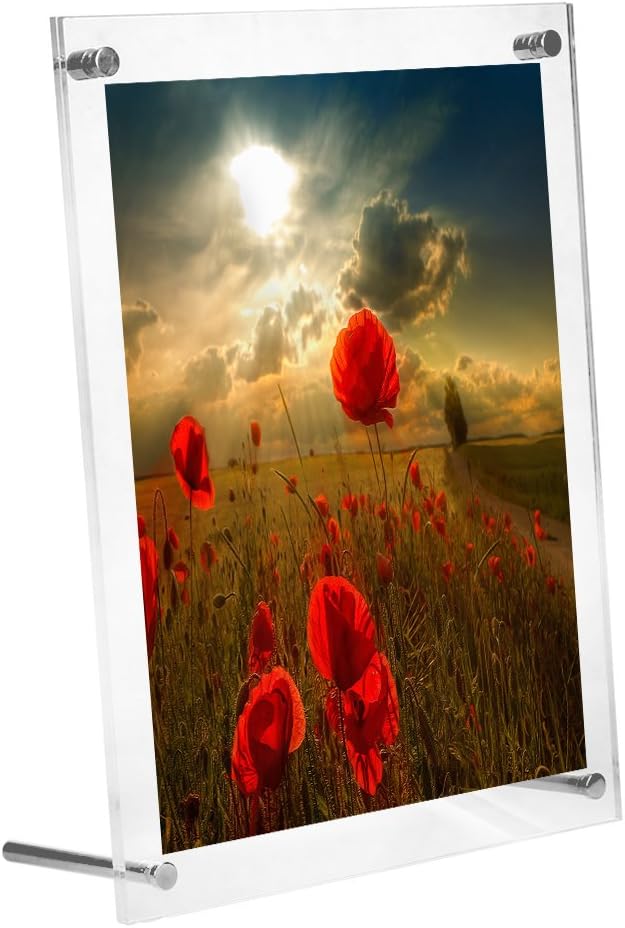BOJIN 6x8 Clear Acrylic Picture Frames for Table Top or Wall Display Photo Frame for Home