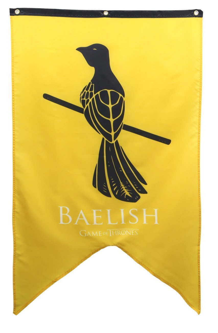 Calhoun Game of Thrones House Sigil Wall Banner (30" by 50") (House Baelish)