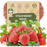 Rare Strawberry Seeds for Planting - 500 Fragaria × Ananassa Non-GMO Heirloom Seeds - Extra Big, Juicy, Sweet Strawberries
