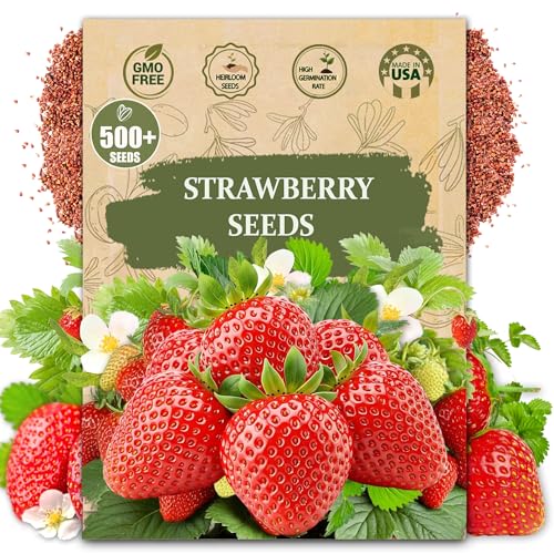 Rare Strawberry Seeds for Planting - 500 Fragaria Ananassa Non-GMO Heirloom Seeds - Extra Big Juicy Sweet Strawberries