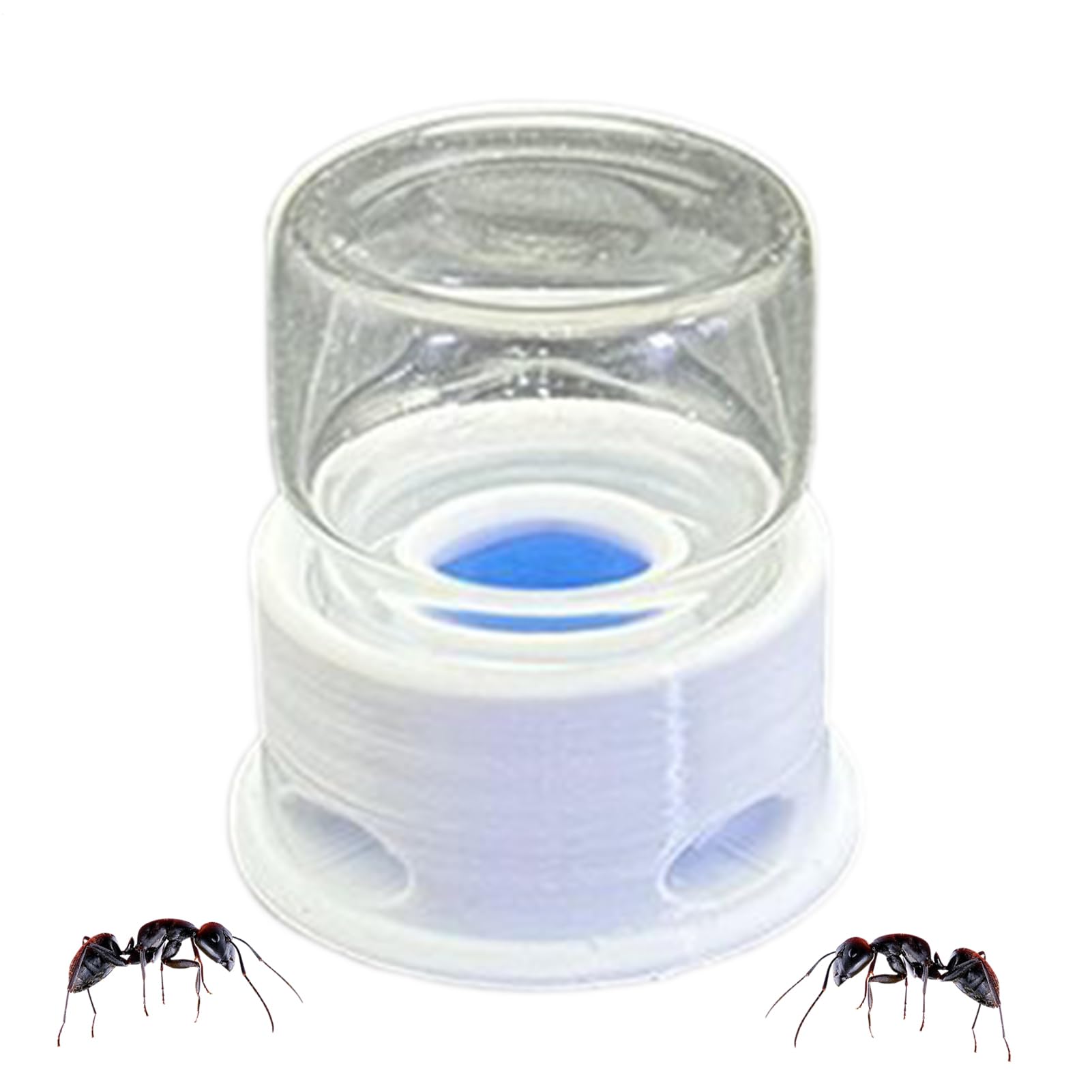 Ant Water Feeder | Bee Water Station | Leakproof Transparent Drinking Feeder for Ant, Farm, Crickets, Classroom, Home