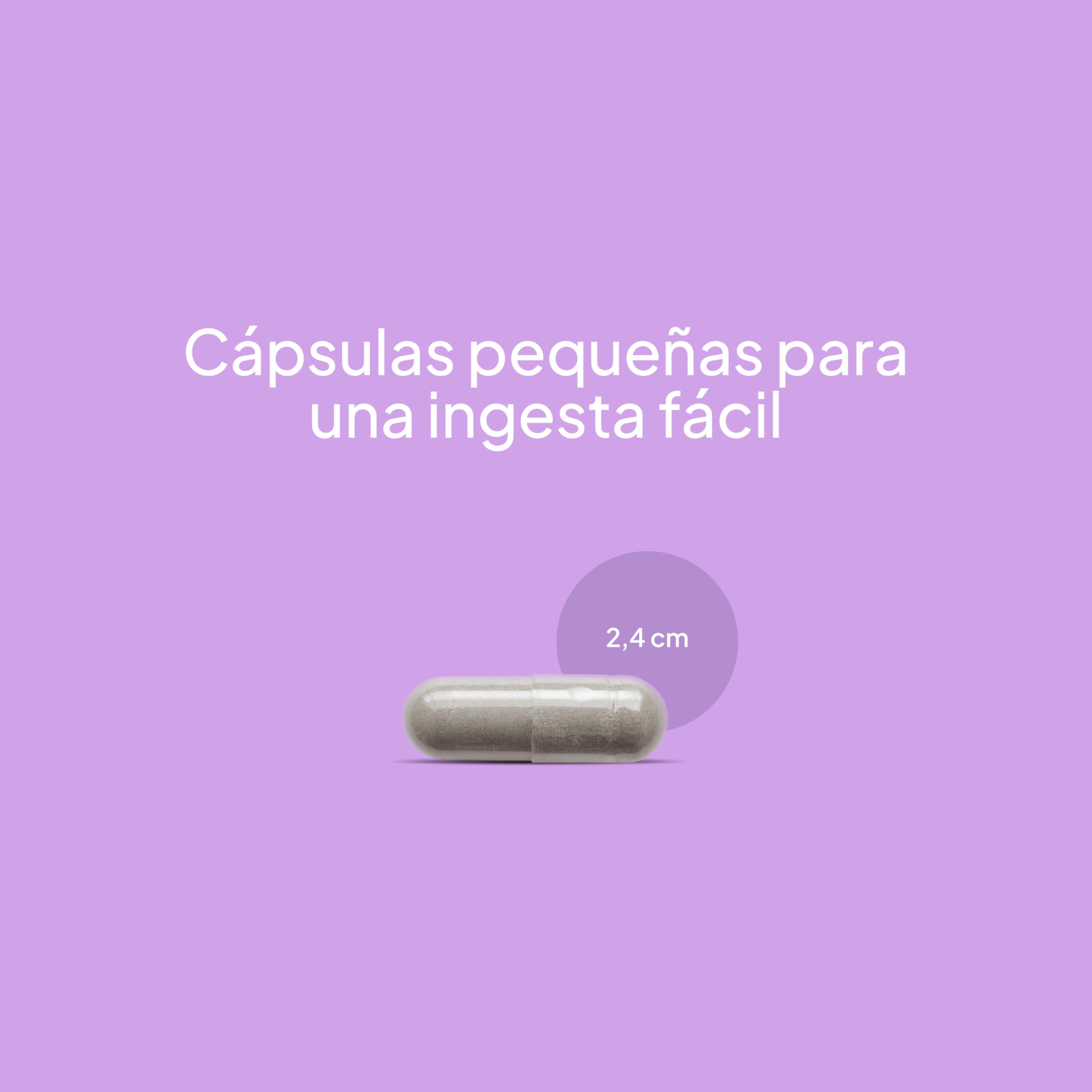 Beverly Ashwagandha KSM-66® Ecológica – 300 mg Extracto Orgánico – 60 Cápsulas Veganas – Adaptógeno Premium – Pureza Garantizada y Testada