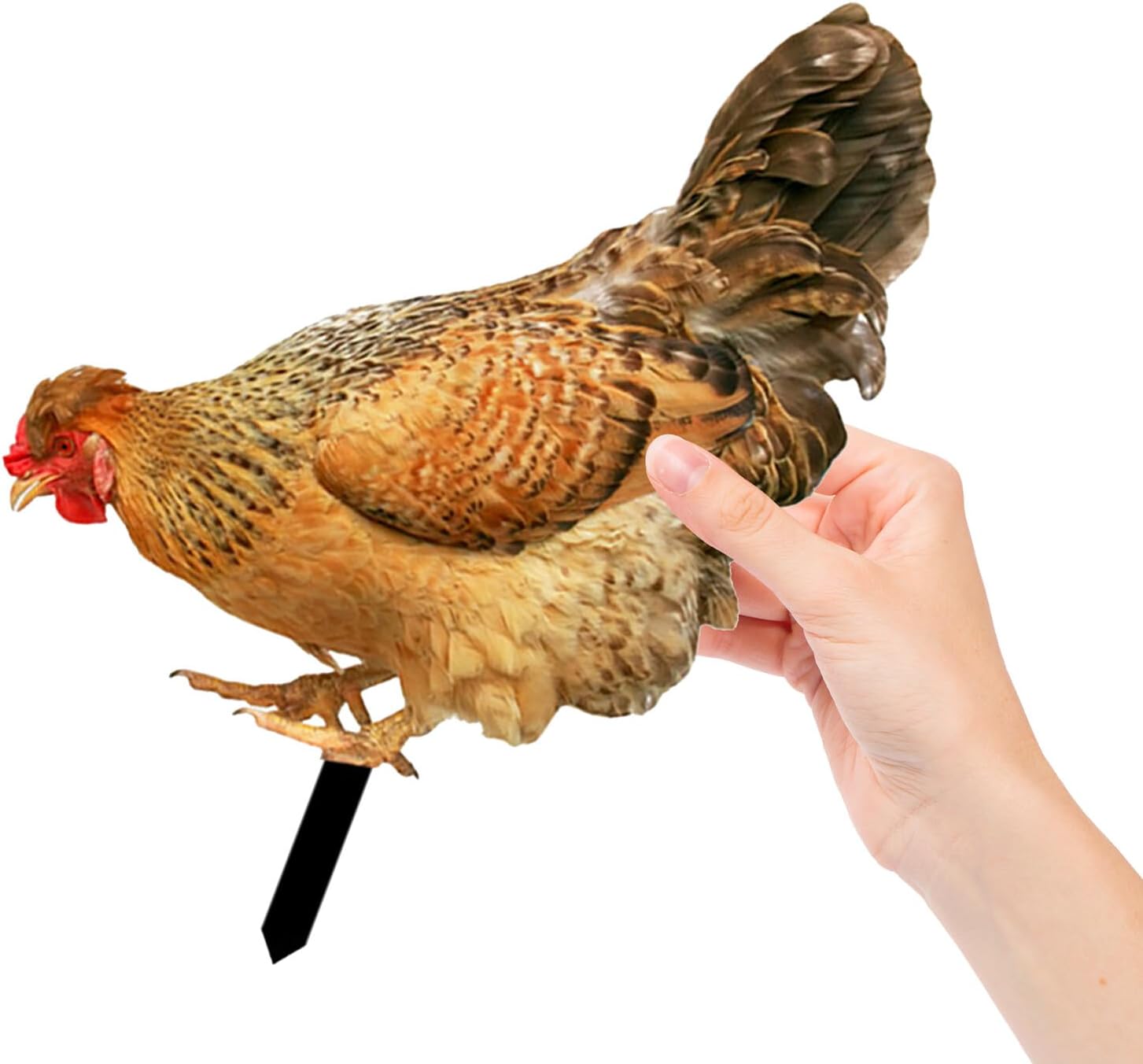 Yardwe 2Pcs Chicken Yard Art Acrylic Decorative Garden Stakes Hen Sculpture Animal Lawn Ornament for Patio Lawns Backyard Garden Decor