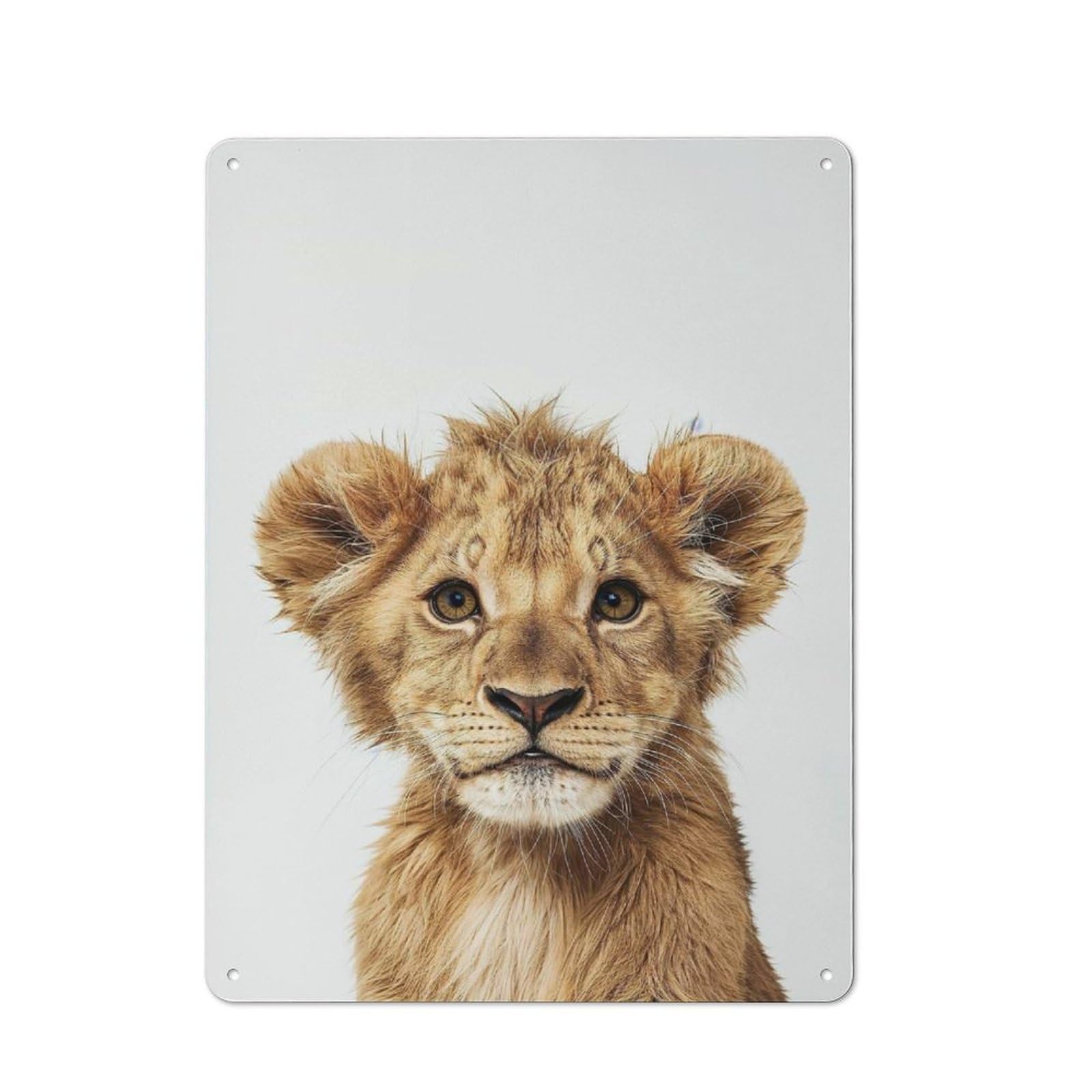 Junmoney Style-22 Rustic Cute Baby Lion Tin Wall Plaque 40X30cm, Rustic Kitchen Decor For Cottage, Kitchen, Hallway Or Breakfast Nook
