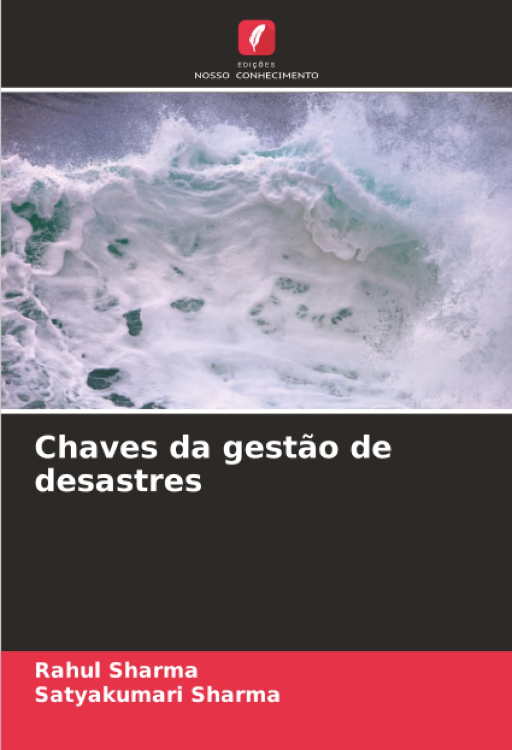 Chaves da gestão de desastres