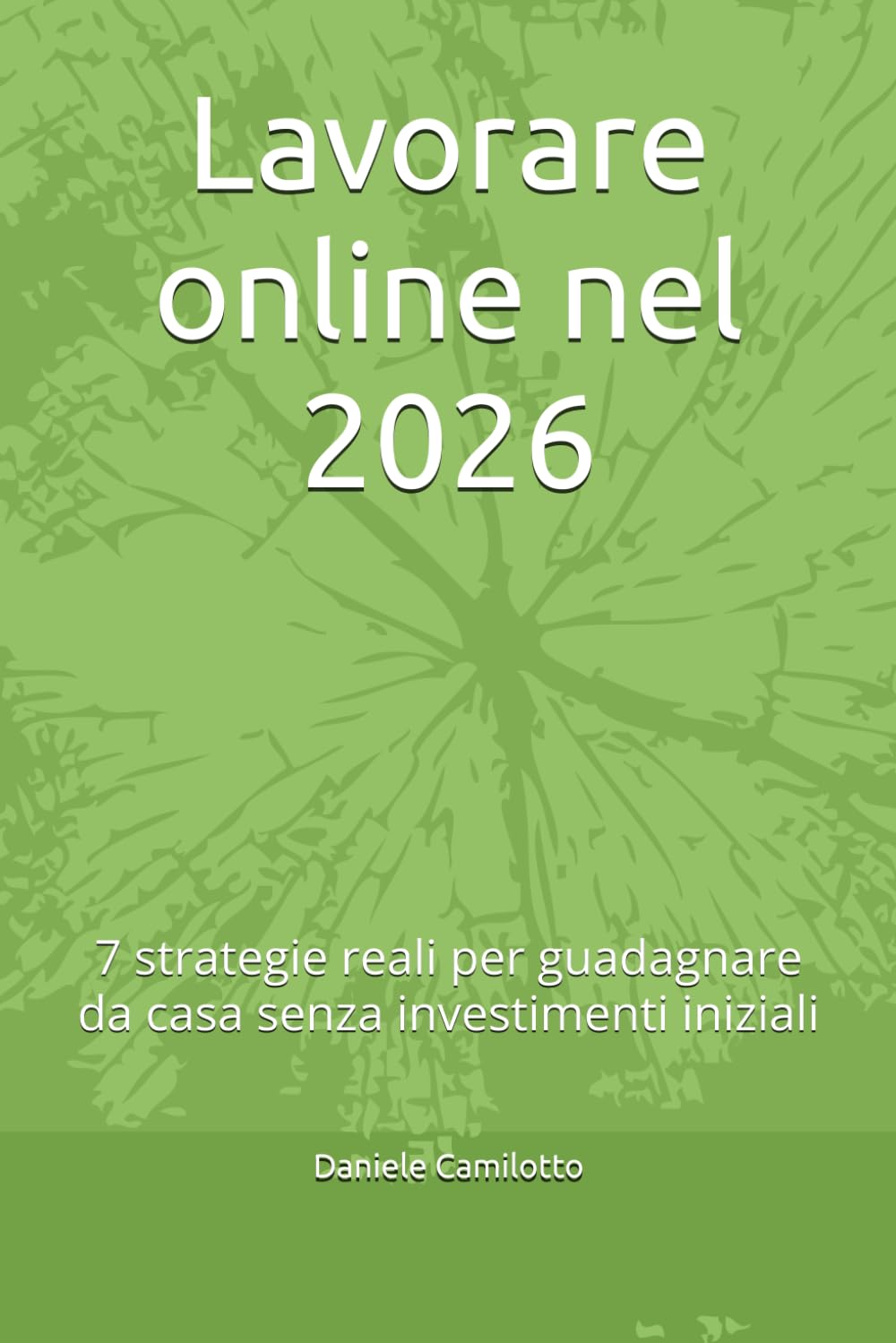 Lavorare online nel 2026: 7 strategie reali per guadagnare da casa senza investimenti iniziali