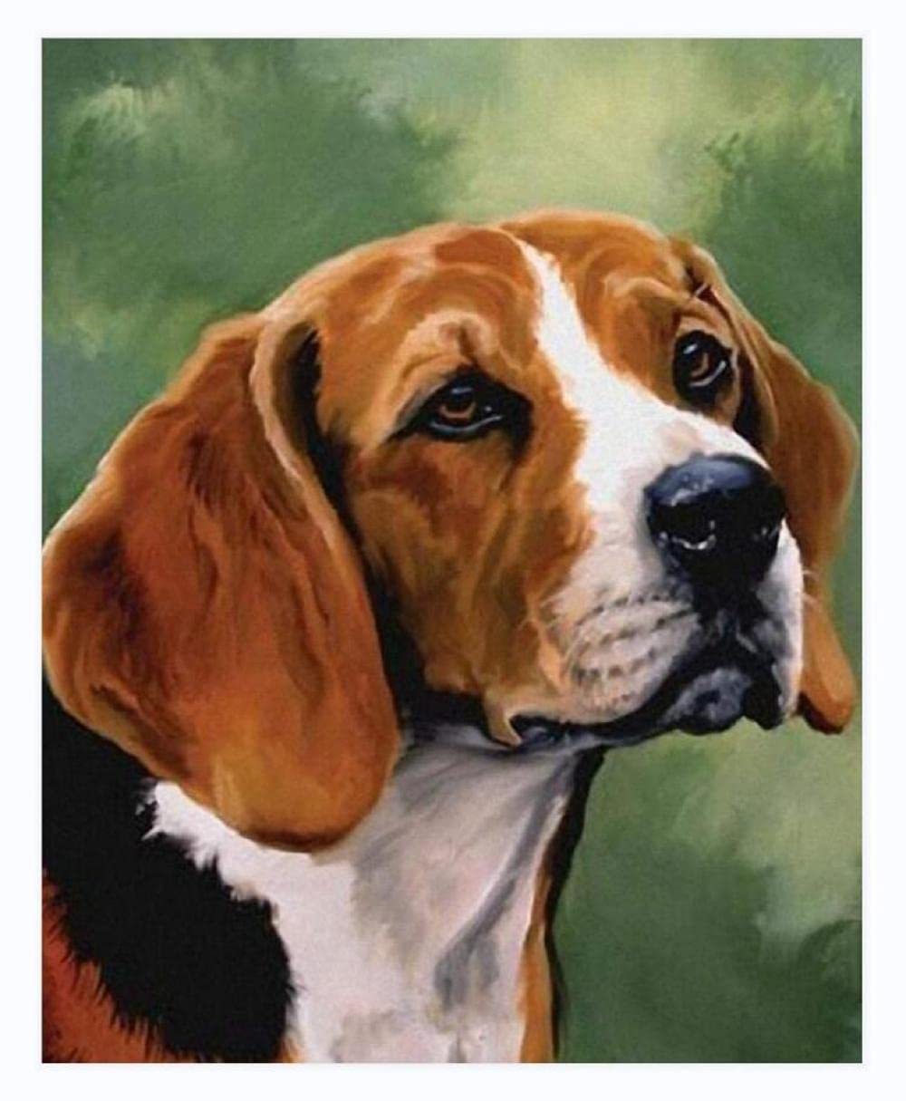 Amazon | DIYアダルトデジタル絵画ビーグル犬油絵キャンバスプリント壁 