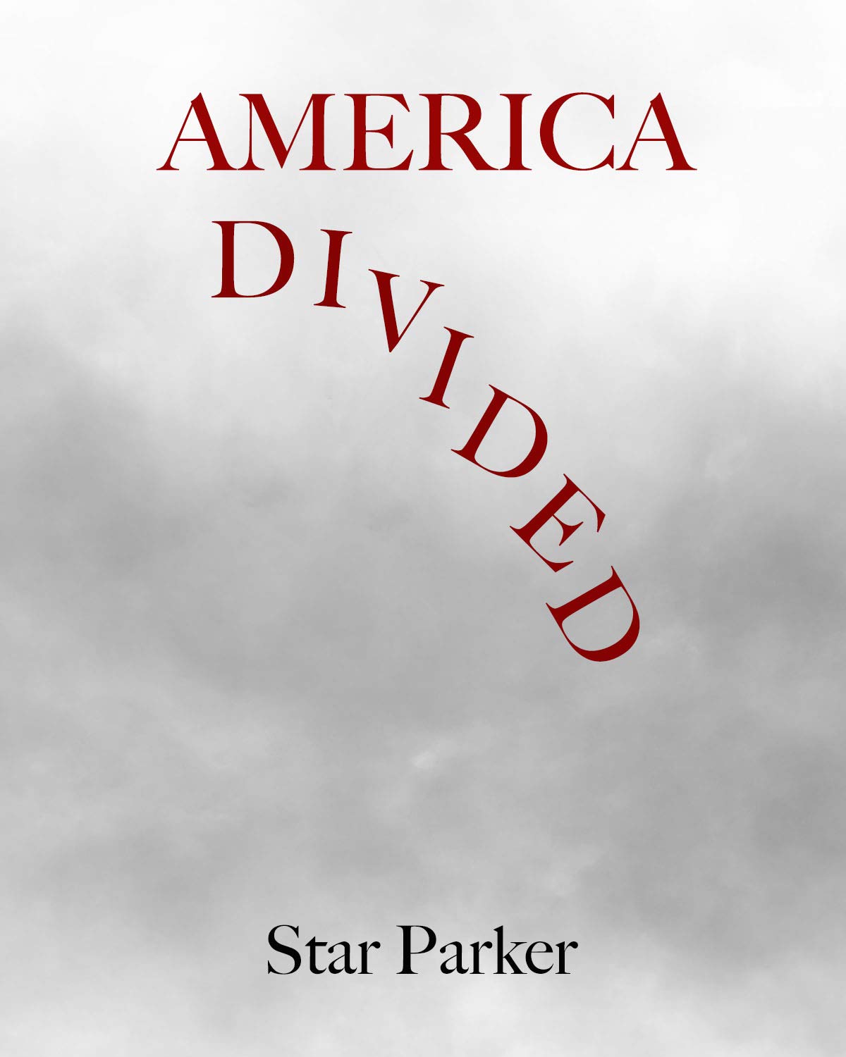America Divided