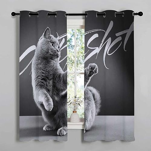 Paraban para Dividir Espacio Black and White Cat Grommet Short Curtains for Patio Doors Cortinas para Ventanas De Cuarto 85Inch Width by 108Inch