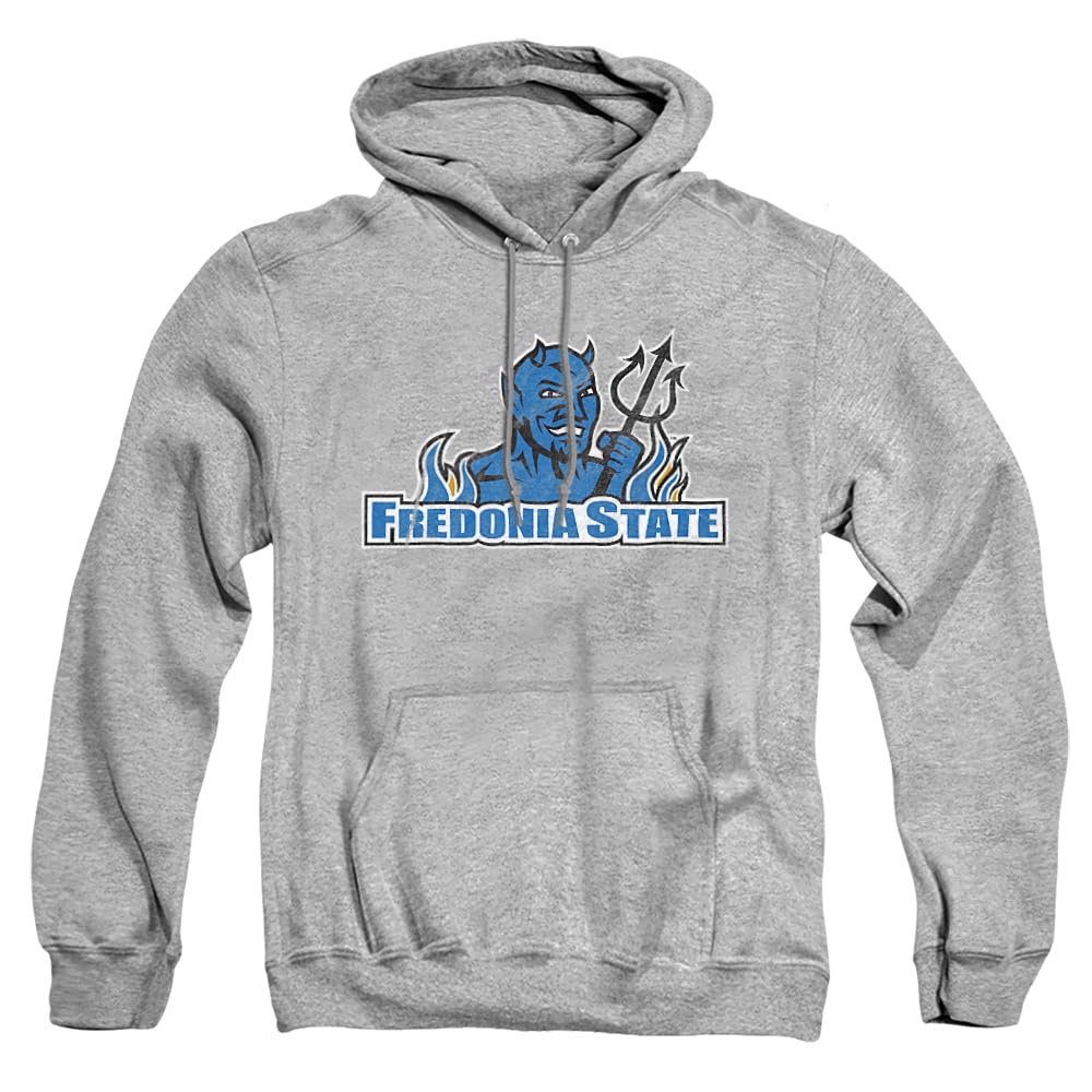 LOGOVISION Official Collegiate Distressed Primary Logo Adult Pullover Hoodie Collection — view 417