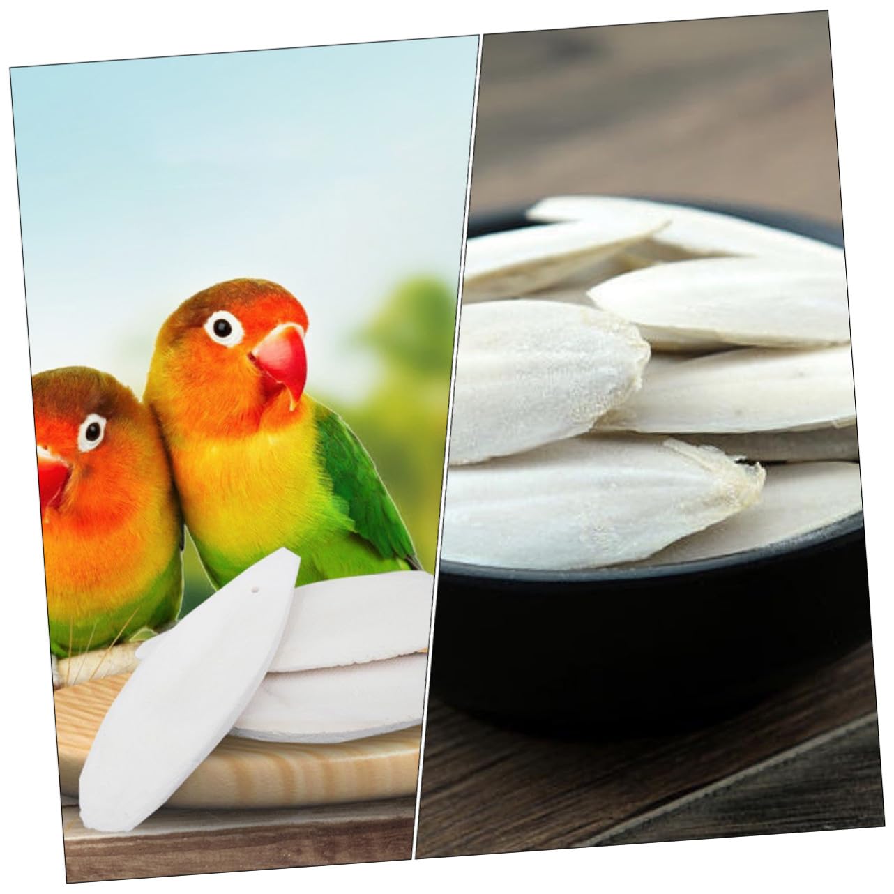 YARNOW 36 Ensembles Jeu de rongement d'os de seiche câlin Jouet à mâcher pour Oiseau Squid Hamster Animal de Compagnie Cage à Oiseaux Jouet pour Animaux de Compagnie Jouet en os de seiche
