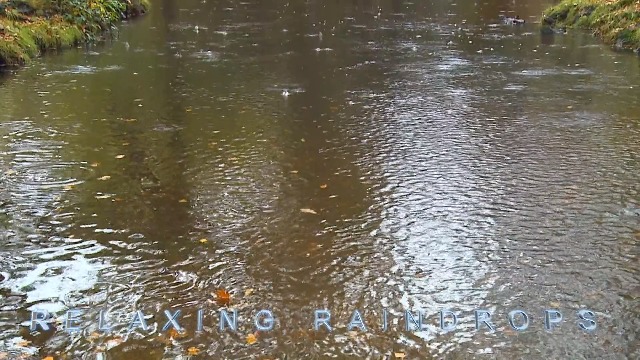 Amazon.com: NATURE DVD - RAIN and THUNDER with Nature and Thunder