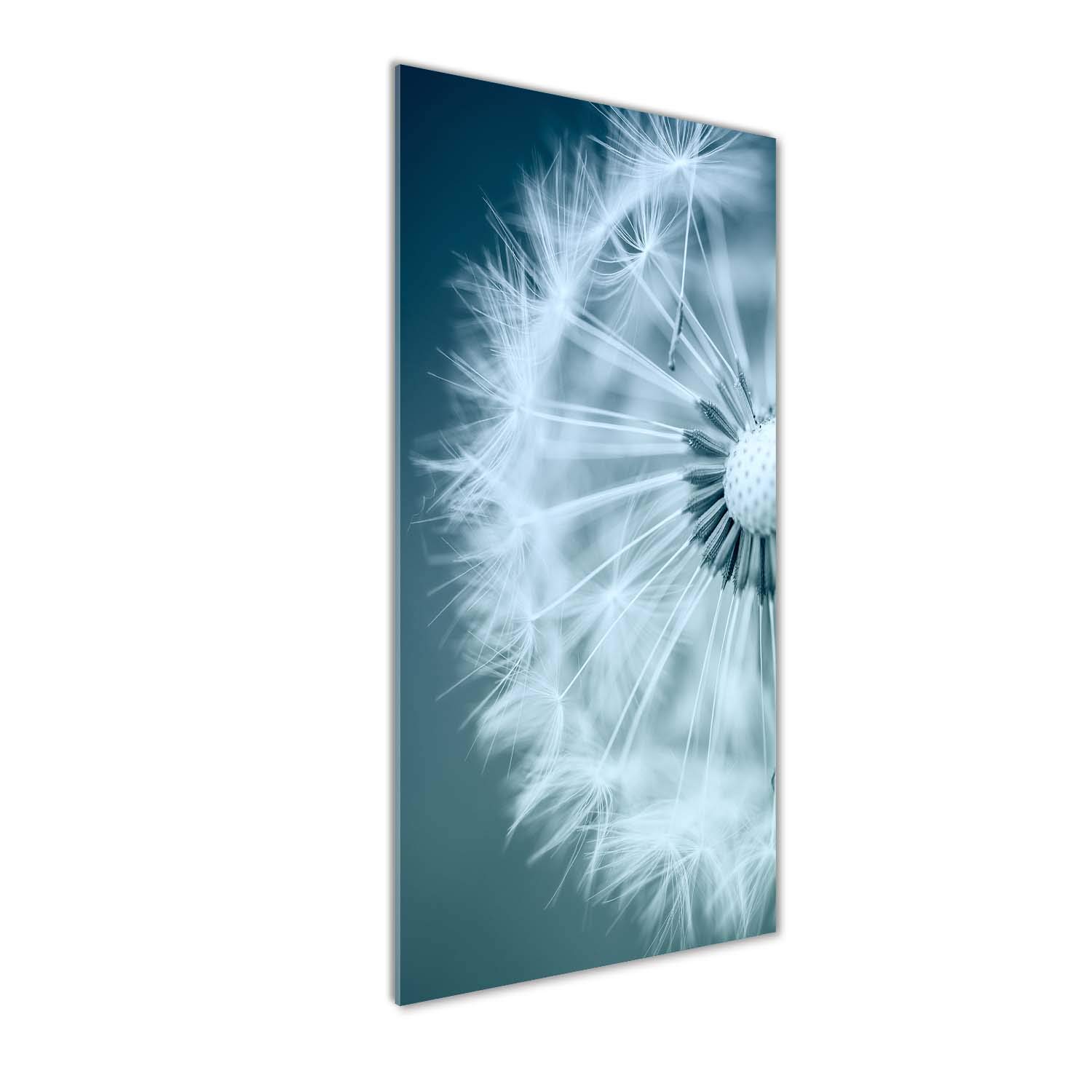 Tableaux pour la mur en verre acrylique de 50x125 cm, une finition brillante d'exception