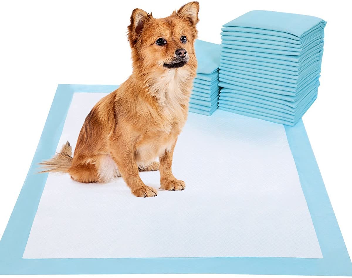 NAUREES Disposable Absorbent Quick Drying Leak-Proof Pee Pads for Potty Training for Pets, 60x45cm M - 50 Pieces