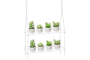 Sumerflos 2-Tier Acrylic Window Flower Box Plant Shelves | Perfect Indoor Wall Display Solution