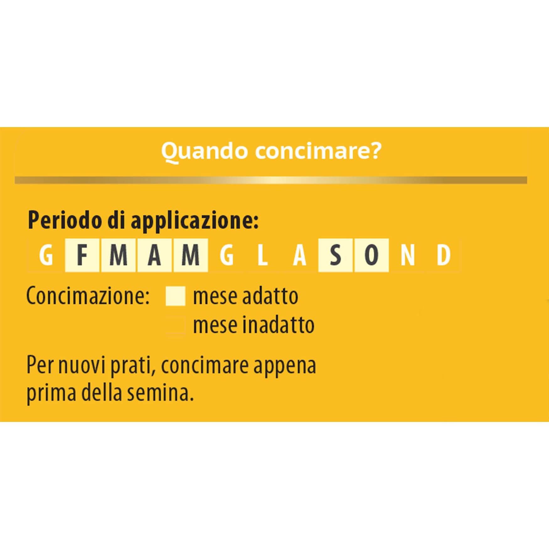 COMPO Concime per Prato Starter, Per la Semina e la Rigenerazione di Tappeti Erbosi, Per Radici Più Forti, 2,5 kg