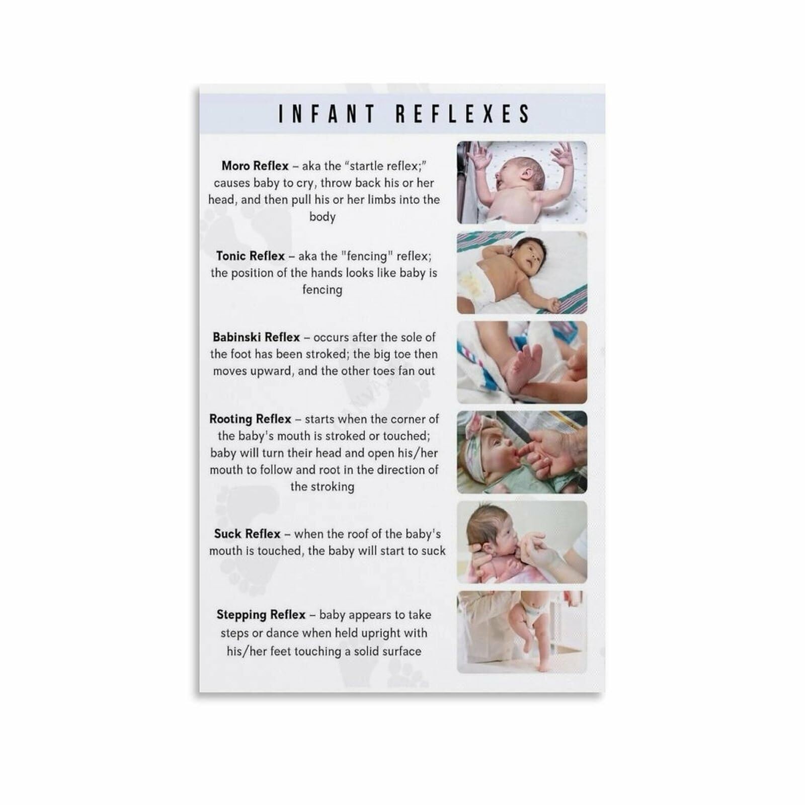 XGINERFEX Infant Development Chart Canvas Wall-Art for Nursery Newborn Cues and Milestones Poster Educational Guide for Parents
