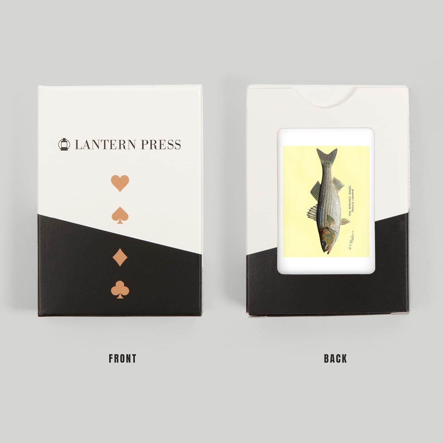 Lantern Press Striped Bass, Denton Fish Print, 52 Playing Cards for Adults, Poker Size Card Deck