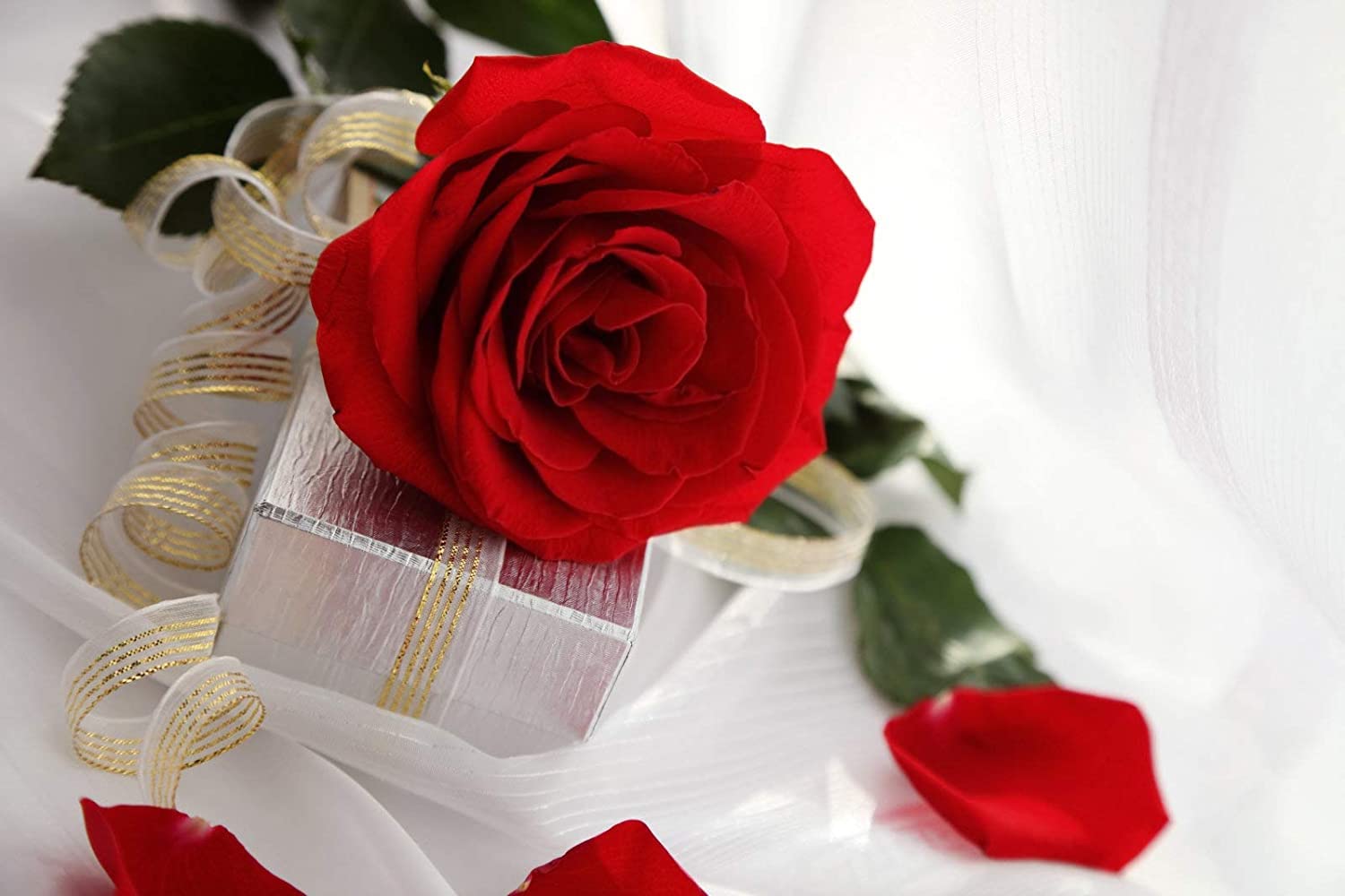 25 Rose Artificiali In Schiuma Con Stelo 25 Cm - Testa 7,6 Cm - Finti Fiori Per Centrotavola, Bouquet, Torte - Decorazione Fai Da Te