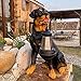 Estatua de Perro de jardín Imagen de Estatua de Perro de jardín