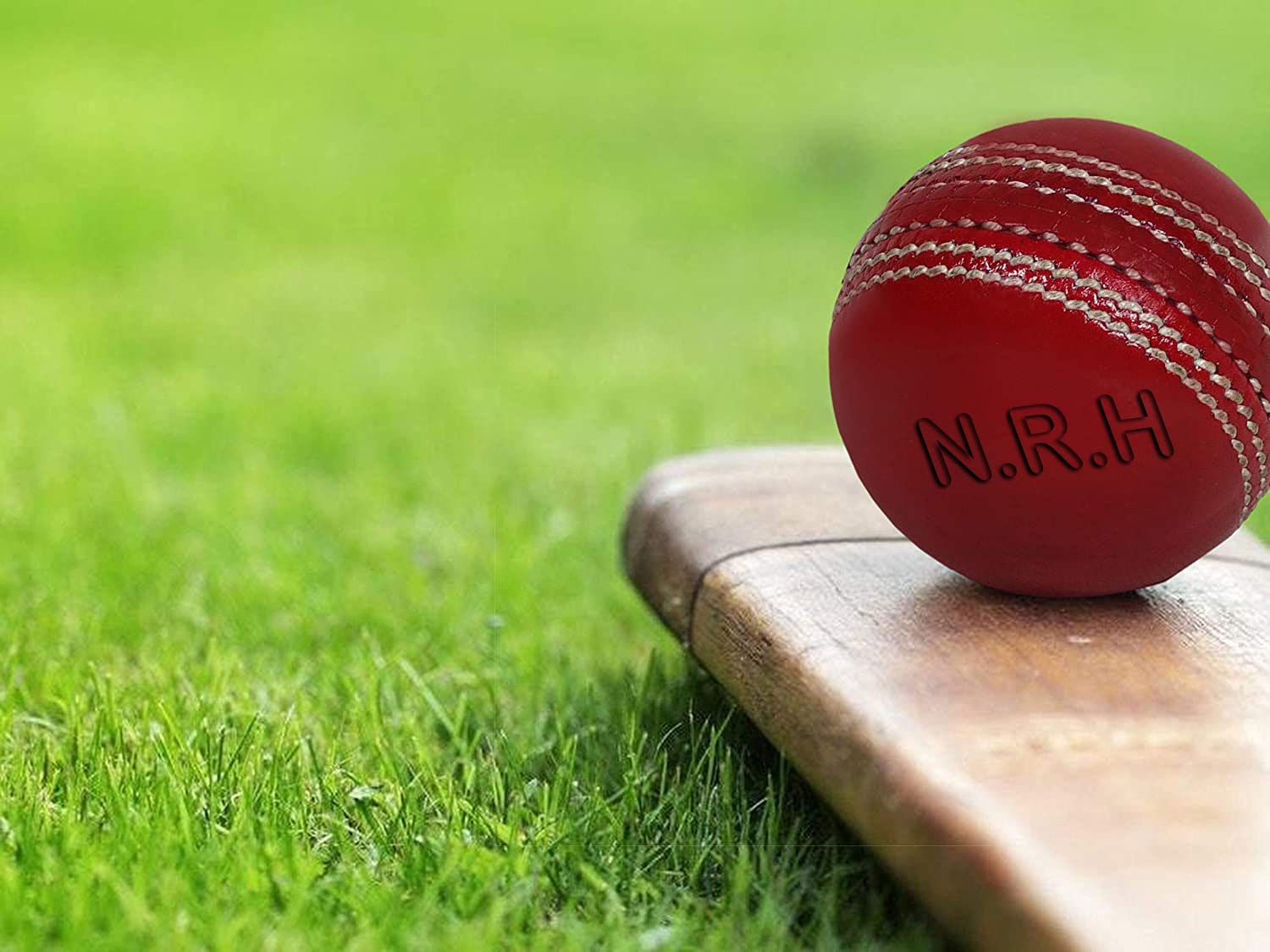 Cricket-Ball zum Üben, Leder, Rot, 6 Stück