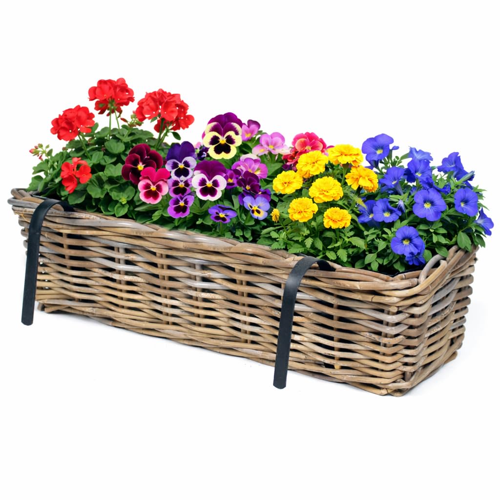 Annastore Blumenkasten 2er Set 55 cm Weide Natur zum Einhängen Balkon | Für Geländer bis 5,5 cm, mit Folie, direkt bepflanzbar, wetterfest, formstabil, Pflanzkasten für Garten & Blumen