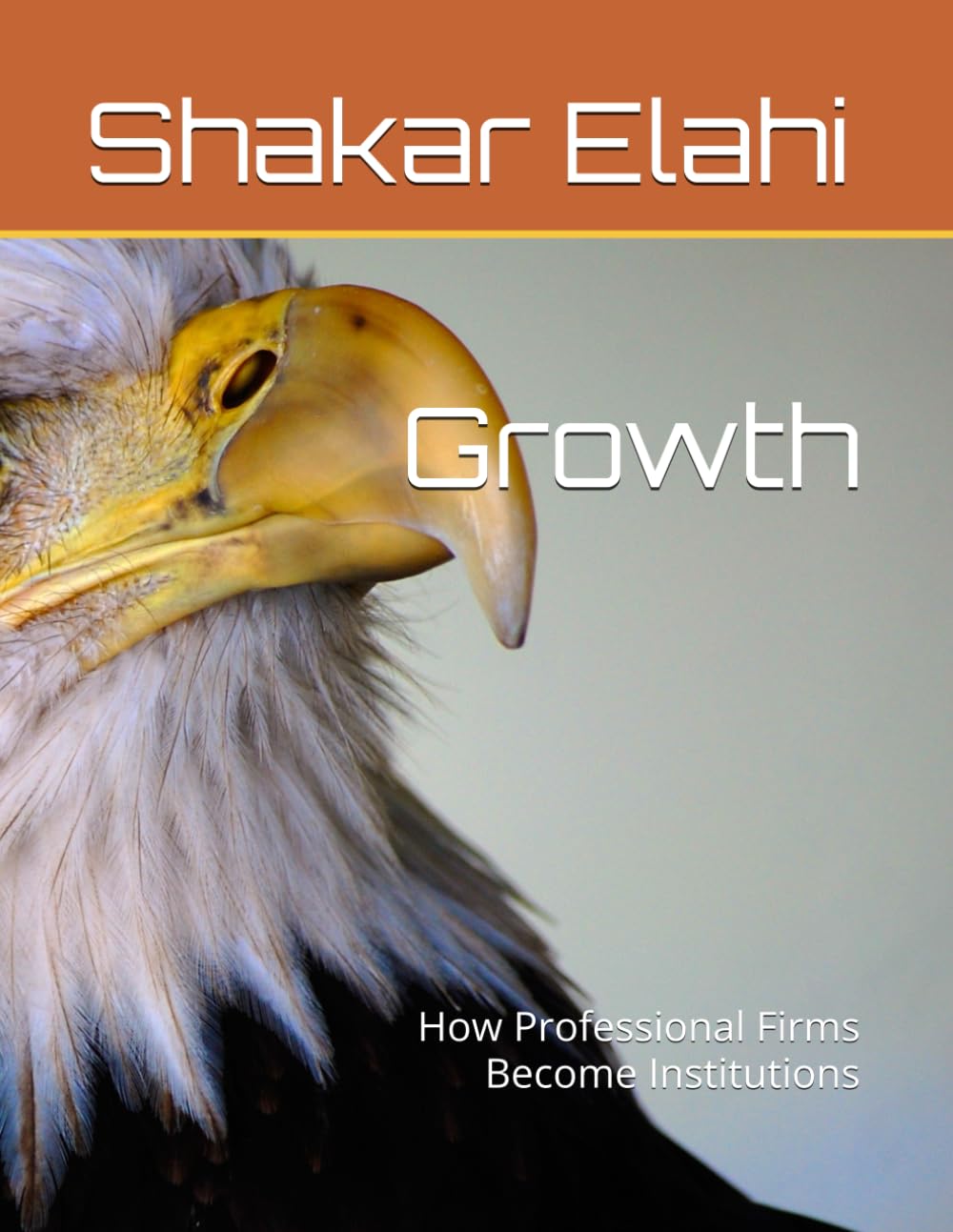 Growth: How Professional Firms Become Institutions (Practitioners Series)