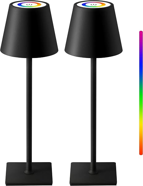 KDG 2 Pack Cordless Table Lamp, RGB Color Stepless Dimming Up, 4000mAh Battery Operated Portable LED Desk Lamp, for Dinn