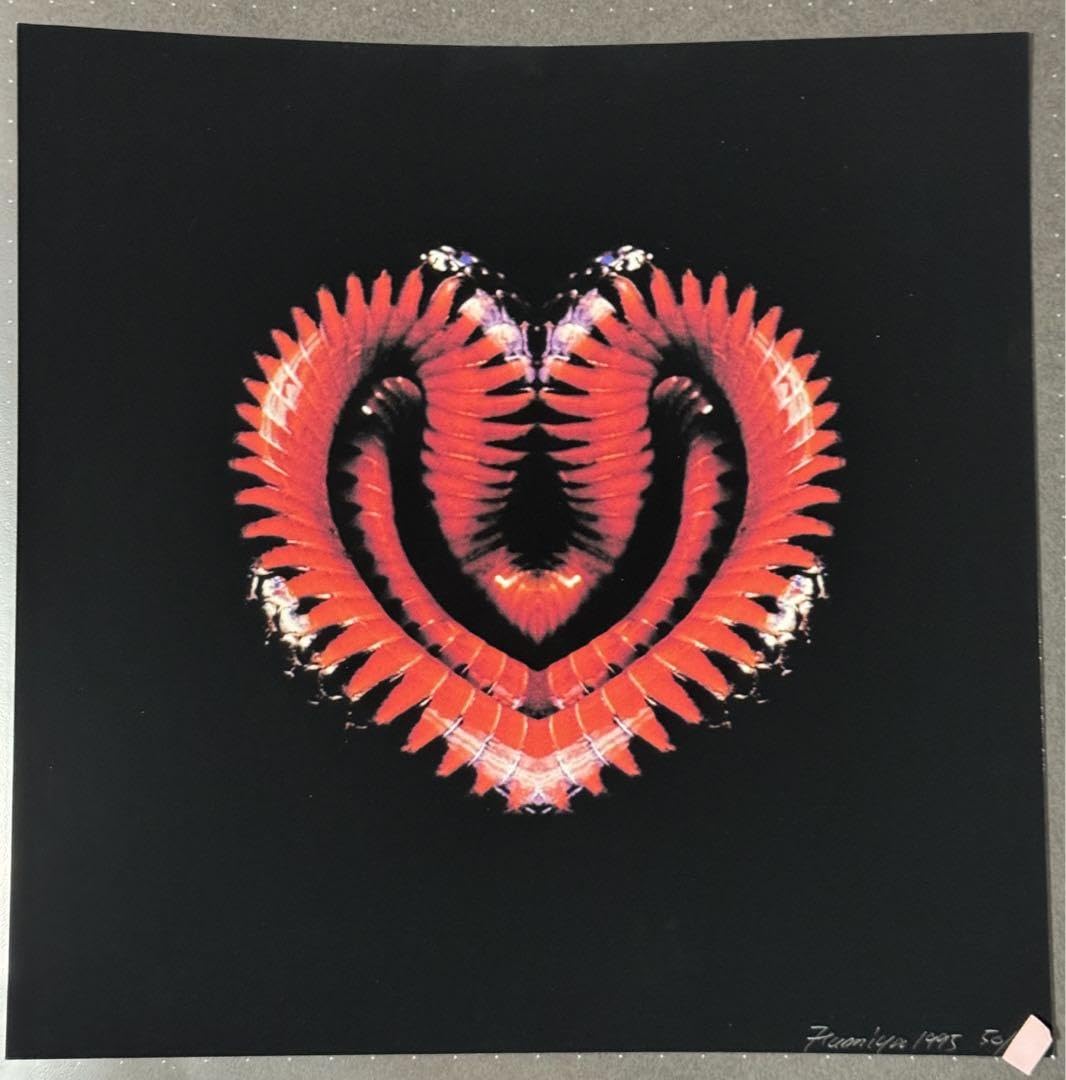 Amazon.co.jp: 藤井フミヤ FUMIYART作品 直筆サイン リミテッド入り