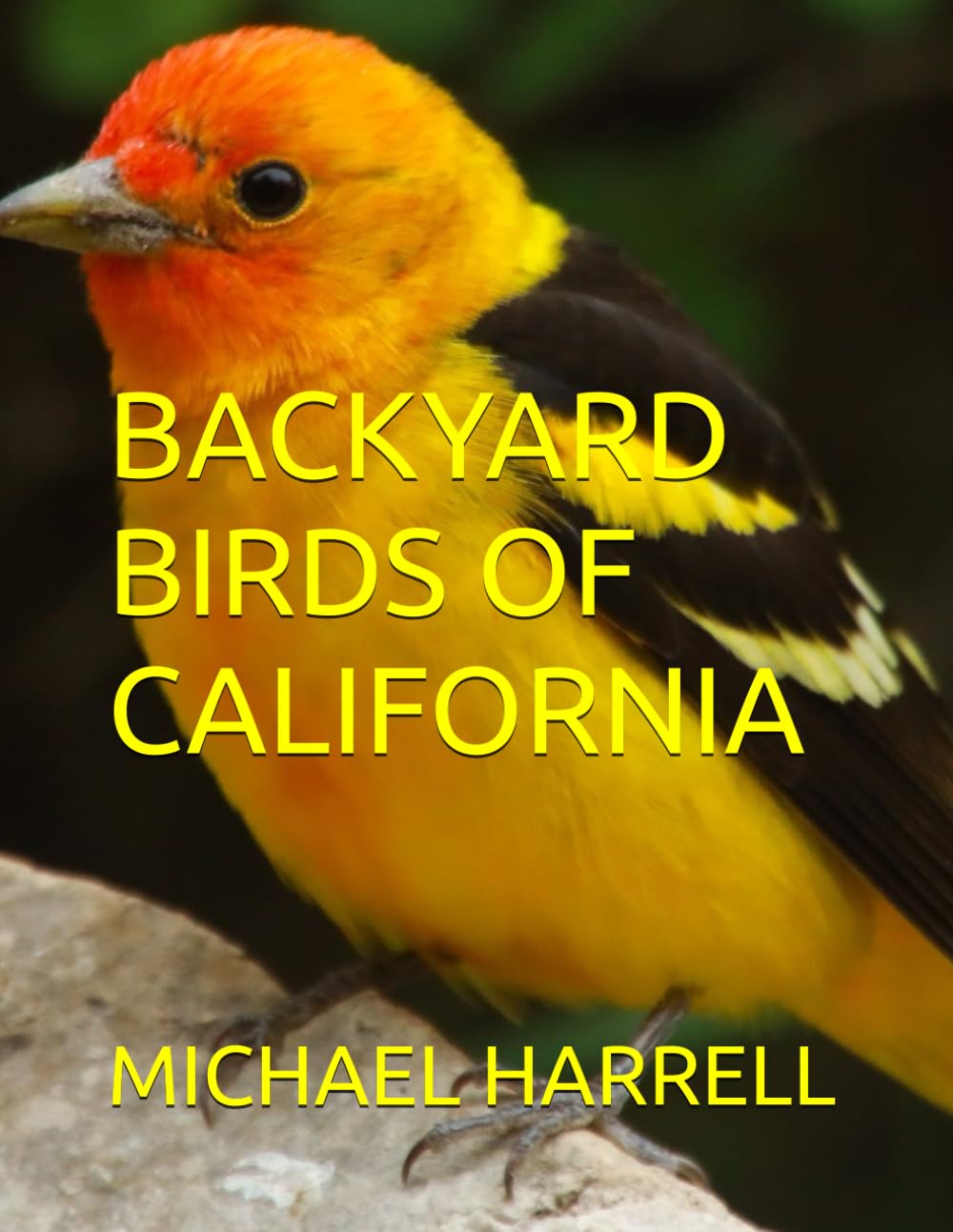 BACKYARD BIRDS OF CALIFORNIA (Wildlife of North America and other educational books.)