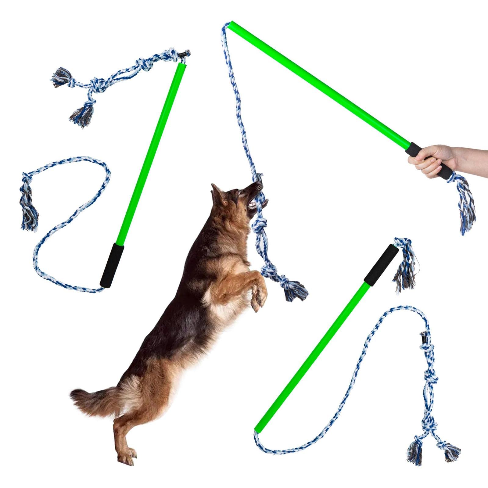 MagiDeal 8 Piezas de Poste de coqueteo, Poste de coqueteo para Perros, Cuerda de Masticar para Mascotas, Juguete de Cuerda de Ejercicio de Entrenamiento, Azul S
