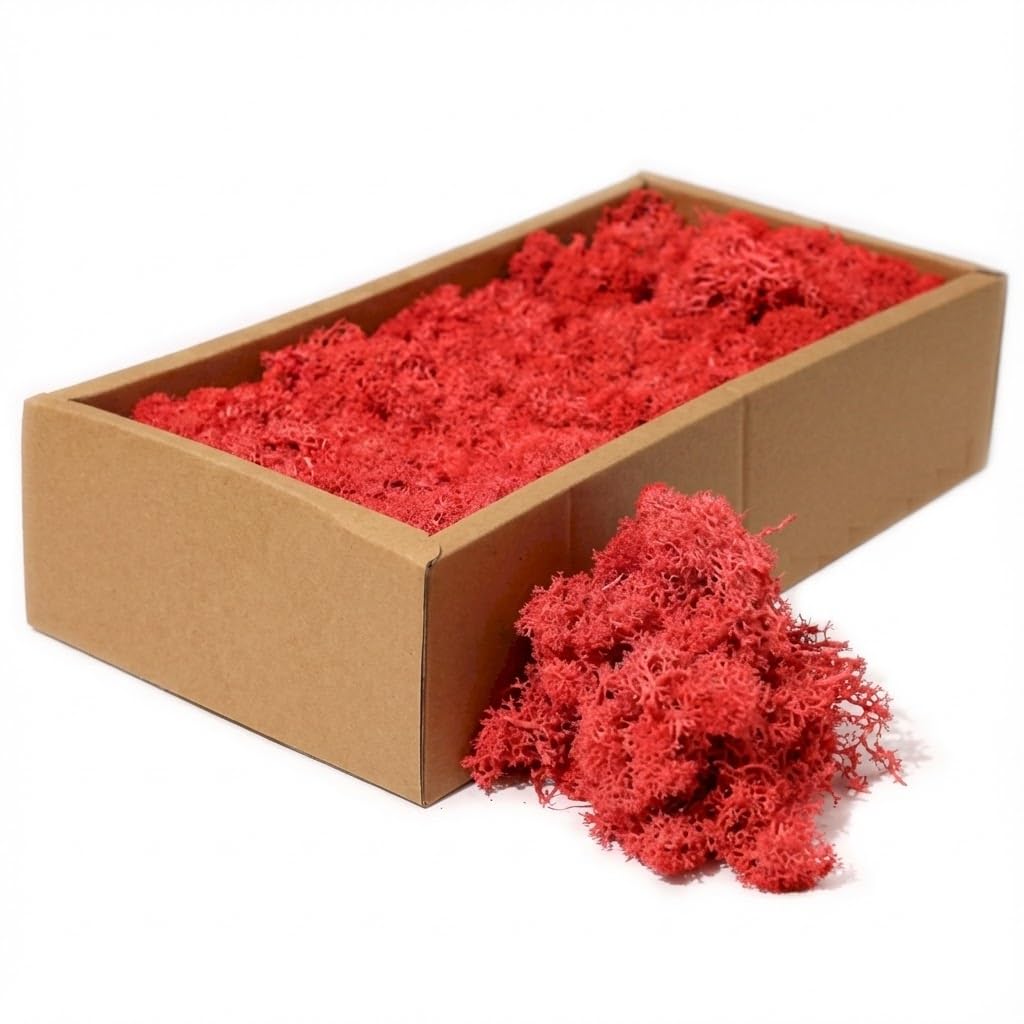 floral supplies Stabilised Reindeer Moss – Preserved Lichen for Model Scenery, Railway Landscapes, Terrariums, Floristry & Art Crafts – Soft Texture & Maintenance Free (Fire Red, 100g)