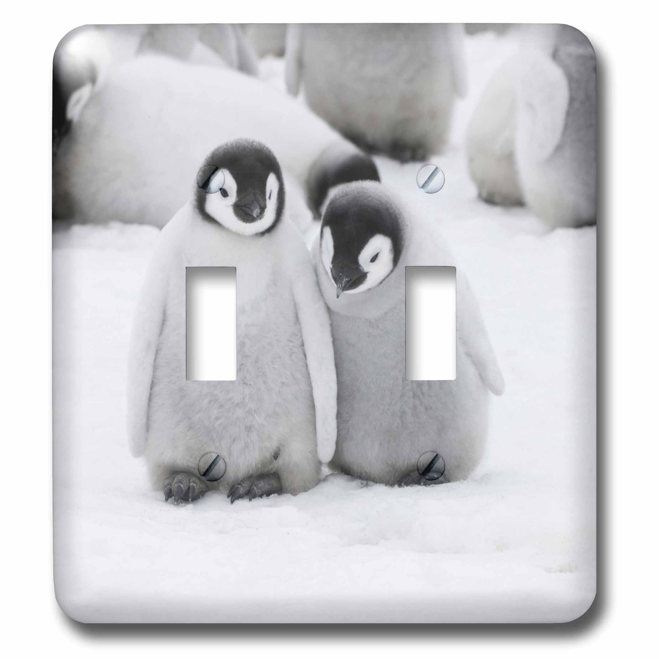 Interrupteur pingouins empereurs pour sublimer la chambre de vos enfants