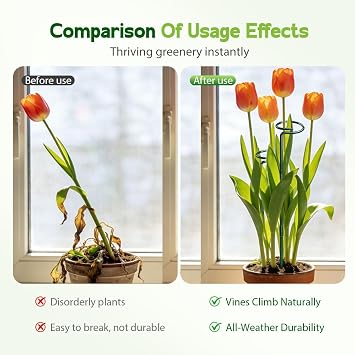 Plant Stakes, 2026 New Plant Support Stakes, Garden Single Stem Support Stake Plant Cage Support Rings (24', 4pcs)