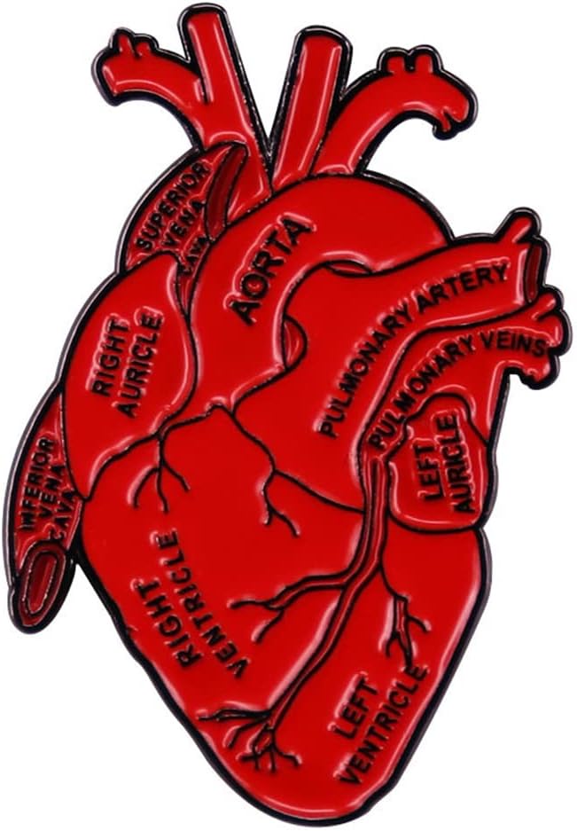 LATINDAY Dissected Anatomical Heart Art Enamel Pin Anatomy Model Medical Science Badge Lapel Pins Accessory for Backpacks Badges Hats Bags for Women Girls Kids Gift