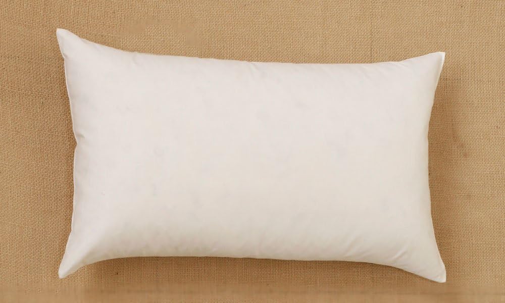 22 inch pillow insert