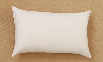 24 pillow insert