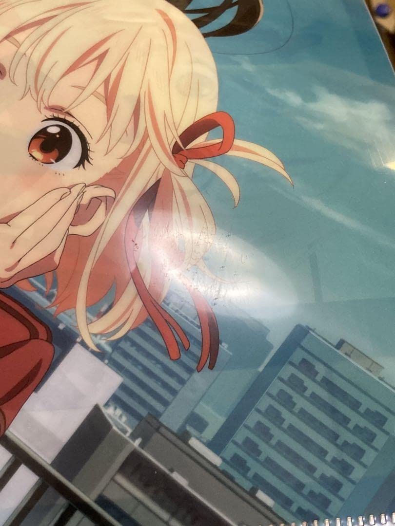 Amazon.co.jp: リコリスリコイル A4クリアファイル ニュータイプ 付録