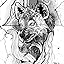 Black Hyena
