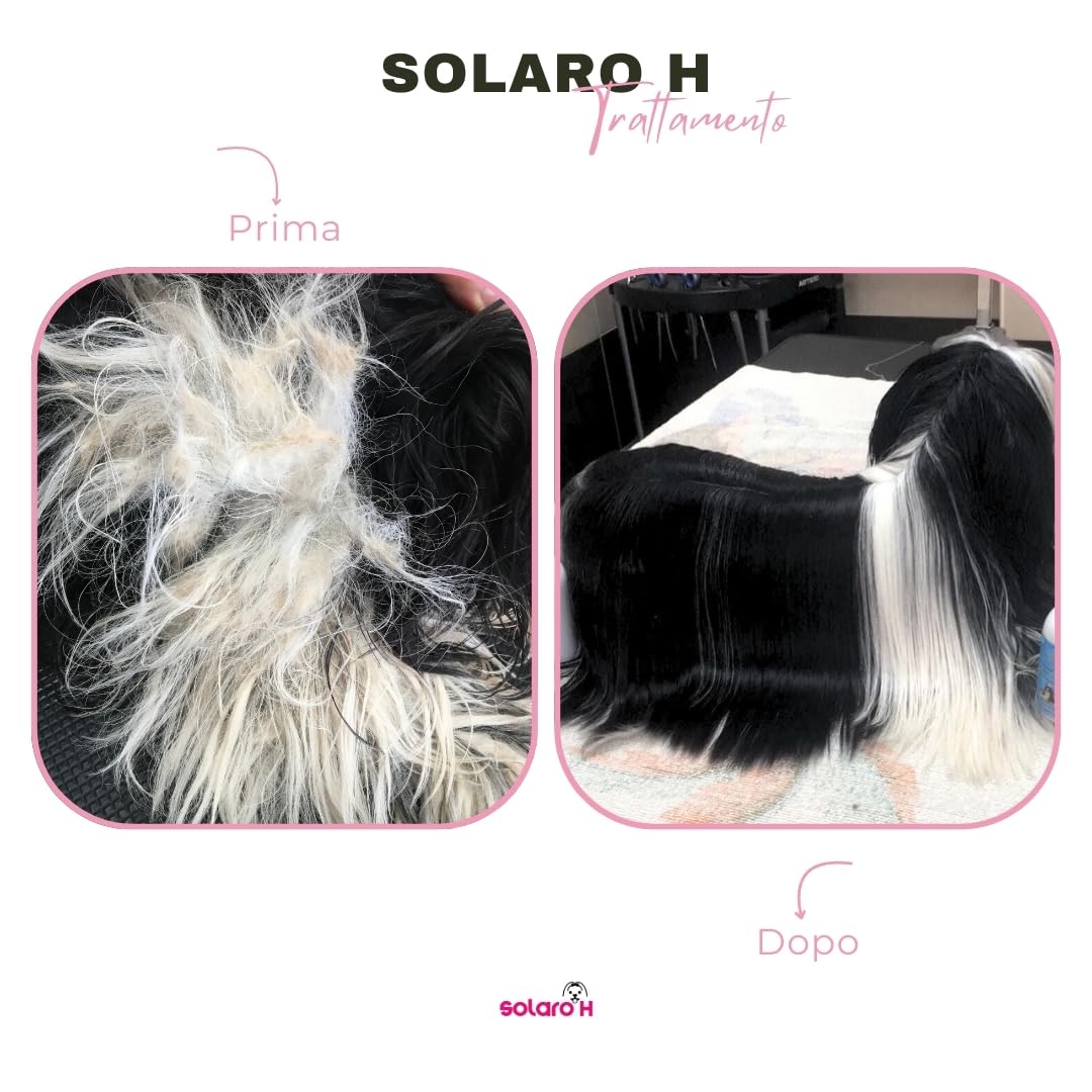 Solaro H | Spray Démêlant pour Chien Super Flash Gold 250ml, Hydrate, Adoucit, Protège Le Poil, Traitement Démêlant, Spray Délier Les Nœuds instantanés - Made in Italy