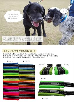 チャールズ・リン・ブラッグ　犬　色鉛筆画　5号 チャールズ・リン・ブラッグ 犬 色鉛筆画 5号 - メルカリ